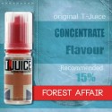 Forest Affair Aroma