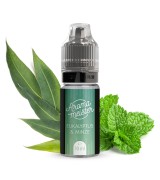 Aromameister Eukalyptus & Minze Aroma 10ml